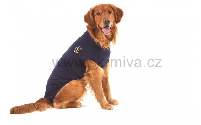 Medical Pet Shirts Dog L